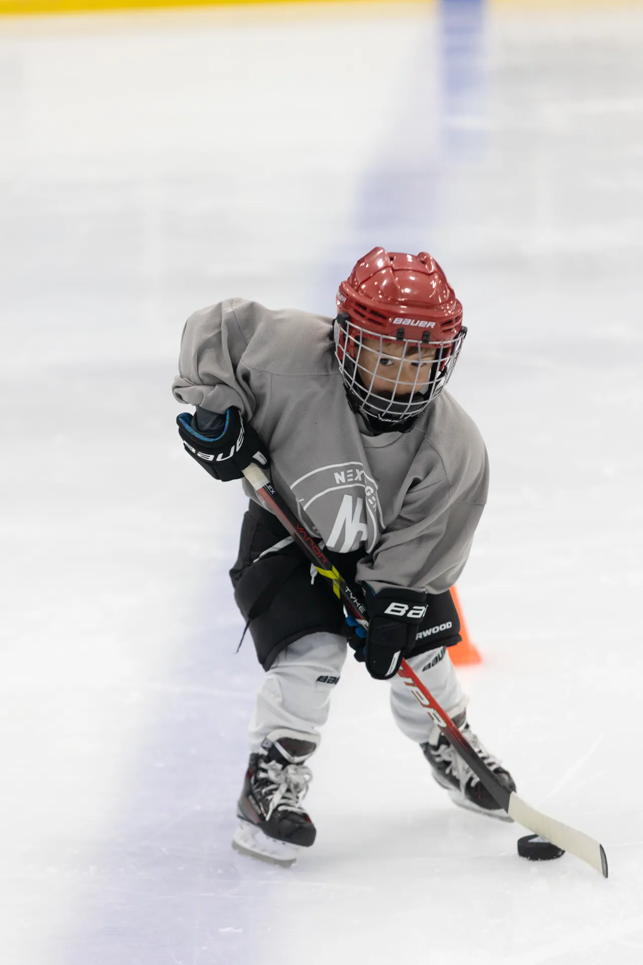 NextGen Hockey School photo