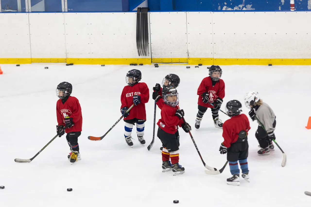NextGen Hockey School photo