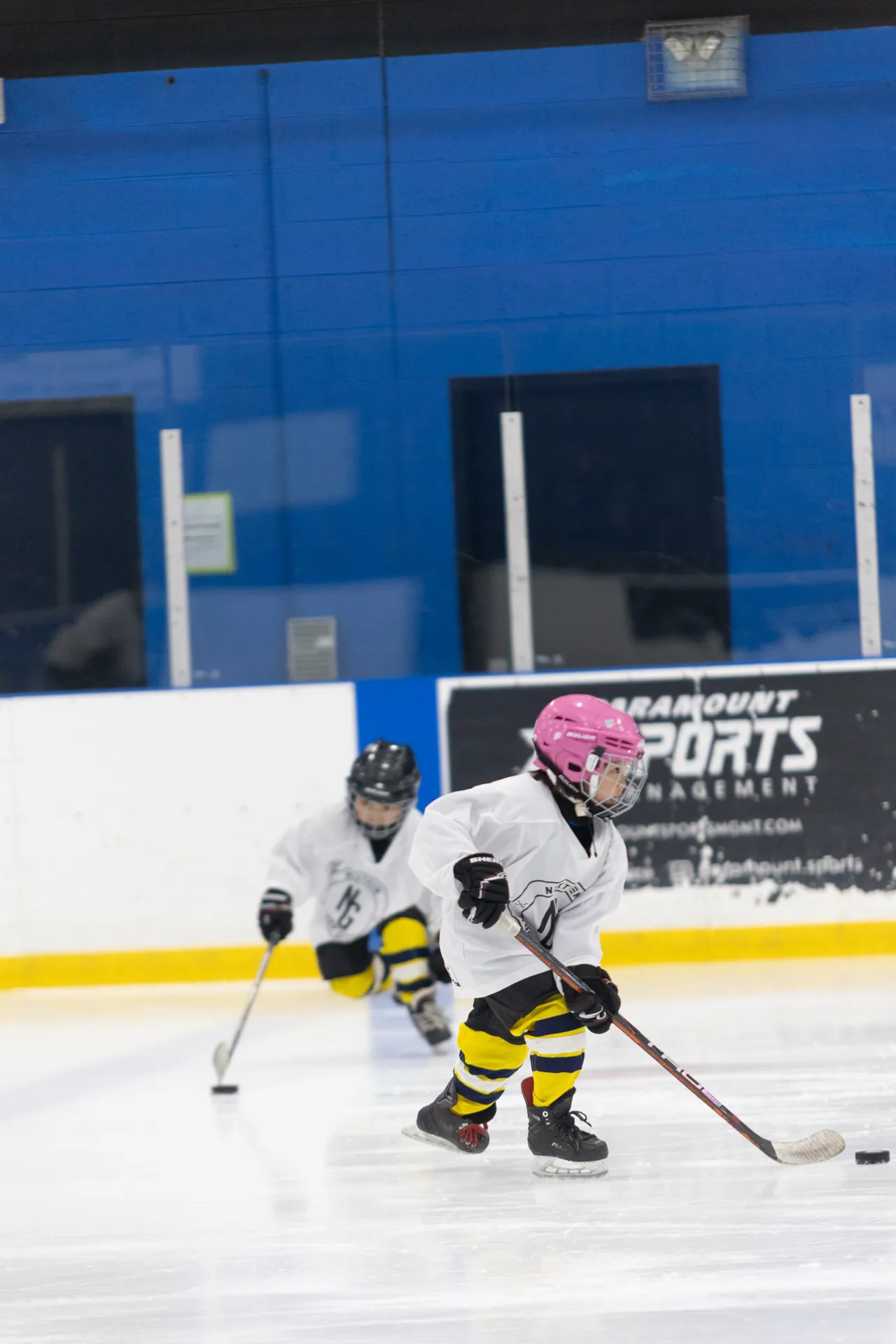 NextGen Hockey School photo