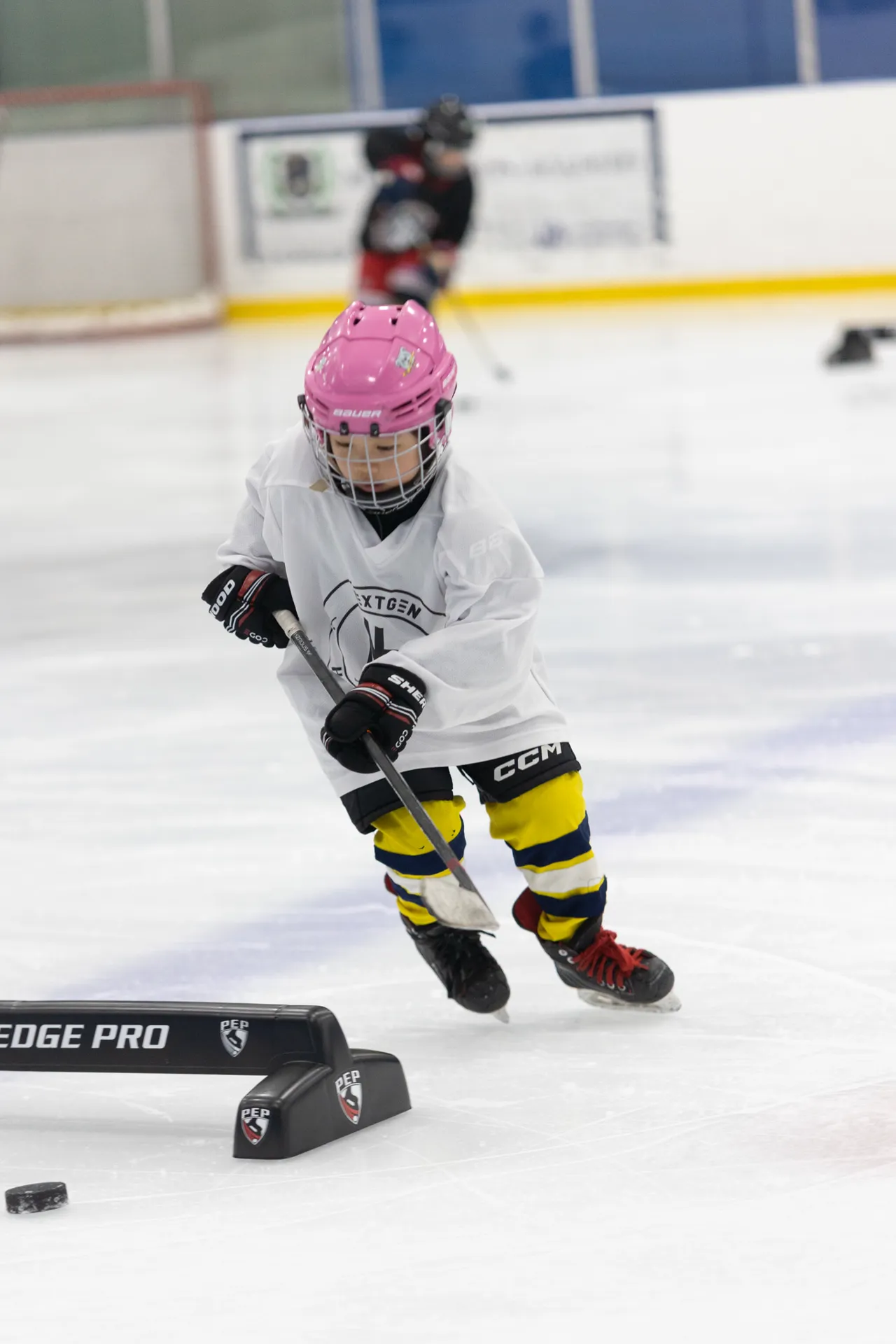 NextGen Hockey School photo
