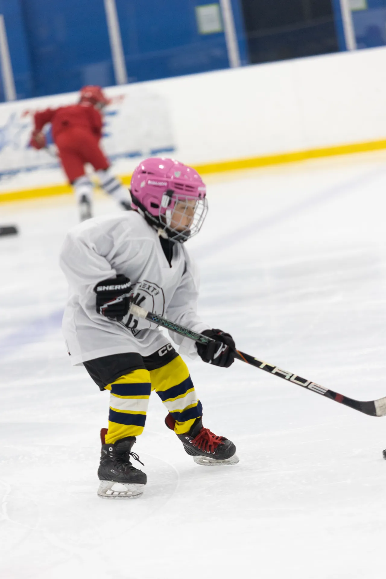 NextGen Hockey School photo