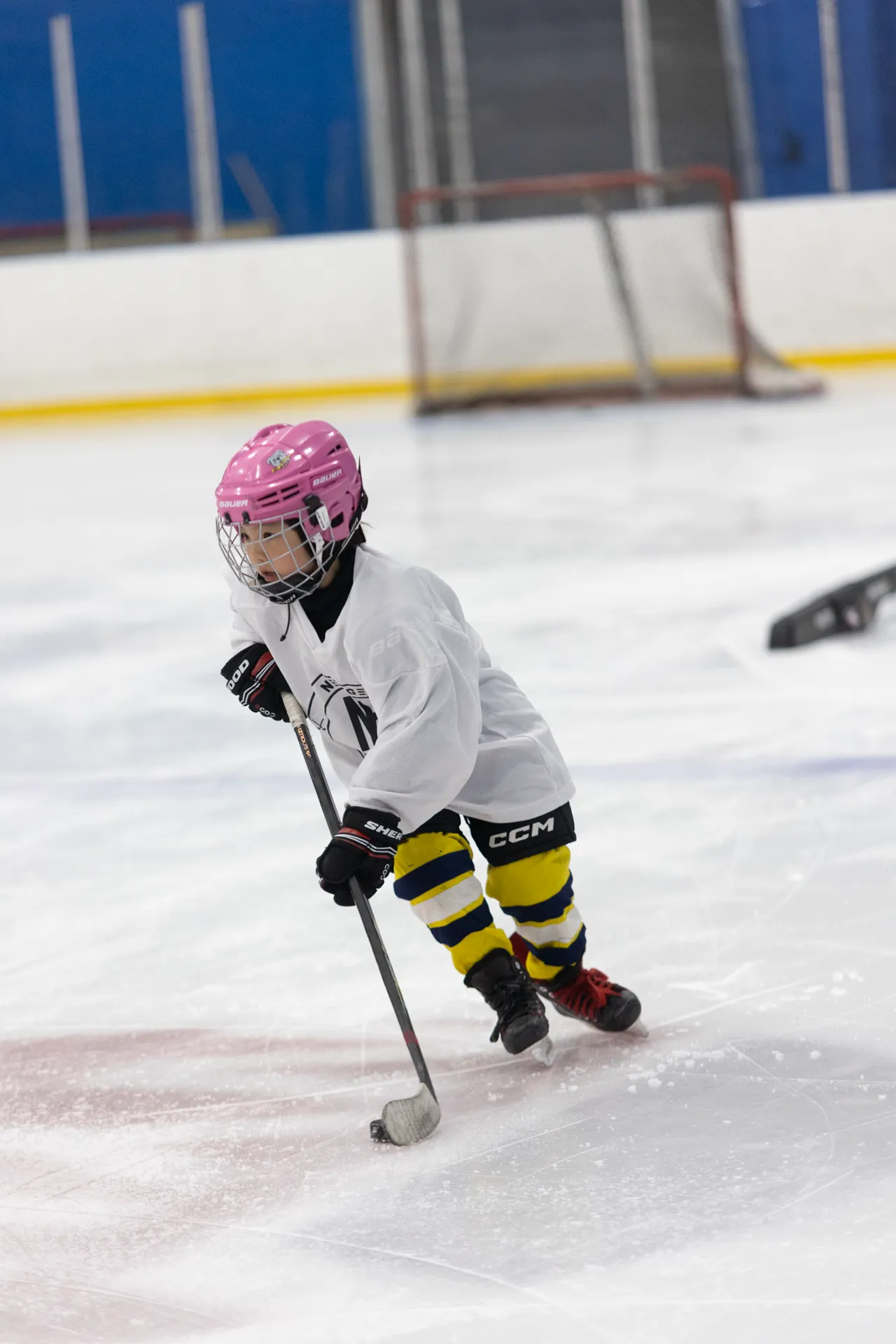 NextGen Hockey School photo
